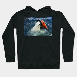 Polar Bear Affected By Climate Change Hoodie